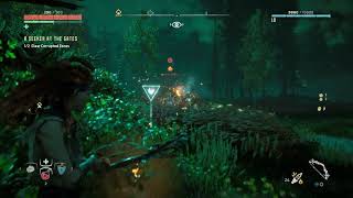 Horizon Zero Dawn™  A SEEKER AT THE GATES