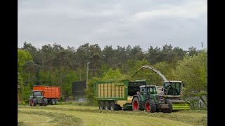 Gras hakselen met een claas jaguar 870 / fendt/ dewa/ Veenhuis/ Krone