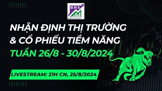 Nhận định thị trường chứng khoán & cổ phiếu tiềm năng tuần 26/8 - 30/8/2024