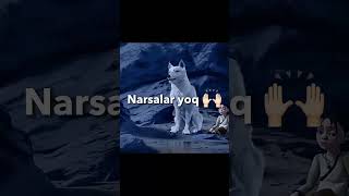 Abadiy narsalar yoʻq #shorts #ibratlisozlar #motivation #ibrat