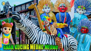 BADUT ULANG TAHUN DAN ONDEL  ONDEL NAIK ZEBRA BERSAMA ANAK KUCING | LAGU ANAK KUCING MEONG MEONG NEW