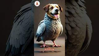 😜 cute animals dog and birds #shorts #cute #funny #dog