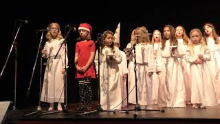 Lucia Pageant and Toronto Swedish Folkdancers & Singers @Harbourfront,Toronto 1.30pm 2018-11-24 pt.3