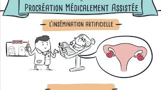 Dessine-moi la société : PMA, GPA : que dit la loi ?