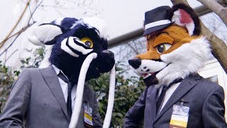 Atlantis's Japanese Meeting of Furries 2019 Con Video (JMoF 2019)