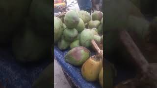 Awesome Bangladeshi Green Coconut With Full Water#shorts #viralyoutubevideo #youtubeshorts #foodie