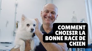 Comment choisir la bonne race de chien - Unis TV