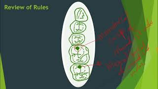 Master Mandibular Movements in 35 Minutes - INBDE High Yield