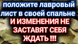 Положите лавровый лист в своей спальне и изменения не заставят себя ждать.