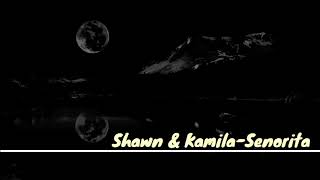 Senorita - Shawn Mendes & Kamila Kabello (Lirik & Terjemahan Bahasa Indonesia)