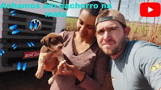 Encomtramo um cachorro  na estrada   perdido  séra q pegamo.( ele qse mordeu a  ??)