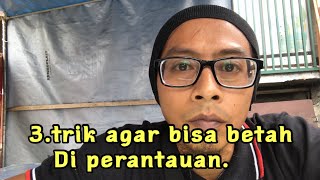 3.TRIK agar bisa betah diperantauan#betahmerantauan#anakrantau