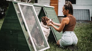 RV Renovation + Chicken Coup Build \\ Going Off Grid (EP.40)