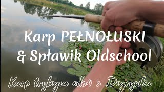 Wielki Karp, odległościówka, Katuszka i JAZDA na @DCOFishing