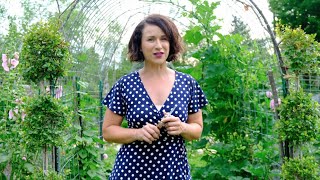 Garden FAILS and SUCCESSES  | TWILIGHT in the Garden | PARISIENNE FARMGIRL | Potager Week 10