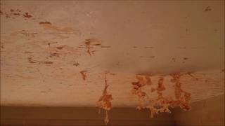 removal of painted embossed ceiling wallpaper