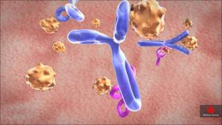 Rheumatoid arthritis and tumor necrosis factor - Weber Shandwick