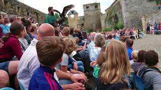 Bird show @ Bouillon