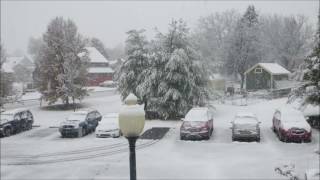 Snowfall Karyağışı Hızlı