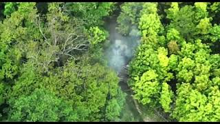 aftermath of Ukrainian Foreign Legion Fighters blowing up Russian Tank | Ukraine war