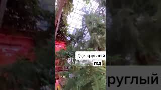 В этом месте всегда лето!