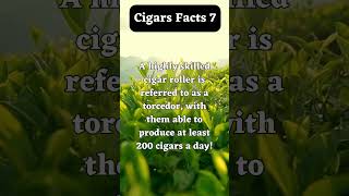 Cigars facts 7