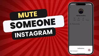 How To Mute Someone on Instagram in 2024