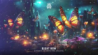 Dannic & Antoine Delvig - Right Now [TOMORROWLAND MUSIC]