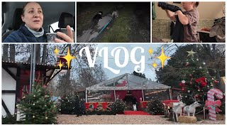 Almanya VLOG | Pazartesi sendromu 😉Kendime iş arıyorum 🤗#almanyadahayat