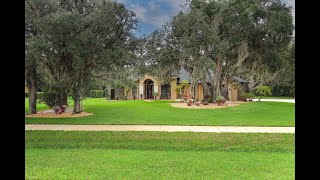 779 Mills Estate Pl, Chuluota, FL