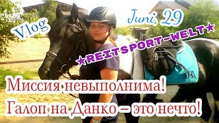 JUNI, 29 | VLOG | МИССИЯ НЕВЫПОЛНИМА | ГАЛОП | REITSPORT–WELT