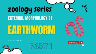 External Morphology of Earthworm || #bsc #zoology