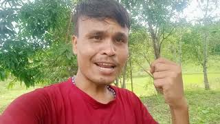 Ka Lad Ban Long Riewspah Iaki Nongrep Na Une Dieng Ba Rem Dor Tam,, Peit Ka Rukom Thung Ïa U 🌱