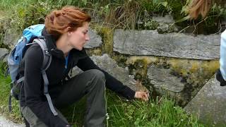 Kräuterwanderung im Naturhotel Outside