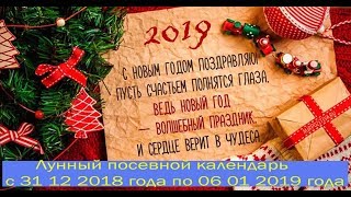 С Новым годом! Лунный посевной календарь с 31 12 2018 года по 06 01 2019 года