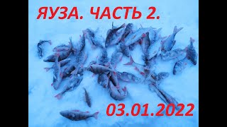 ВТОРАЯ ЧАСТЬ. ЯУЗА. ЩУКИ, ПЛОТВЫ, ОКУНИ. НОВОГОДНЯЯ РЫБАЛКА С ДРУЗЬЯМИ.