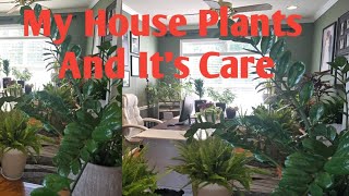 Fall And Over Winter House Plants🌱🪴 "Zone 7B Waldorf MD"