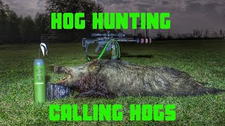 Hog Hunting | Calling Hogs