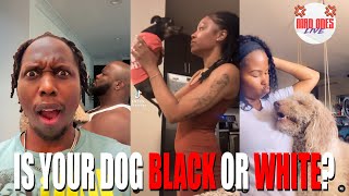 Is Your Dog Black or White Challenge!?!? (Live Reaction)