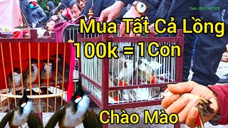 Chợ Chim Tết Đầu Năm Mới 2023 Xuân Quỹ Mão | Chợ Chim Vùng Cao Lạng Sơn