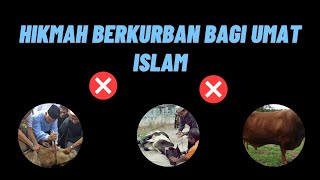 5 Hikmah Berkurban Bagi Umat Islam