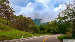 Driving through the Amazon of Mexico