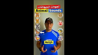 Easy Engleasy II Animal Sounds (1)  اصوات الحيوانات بالانجليزي