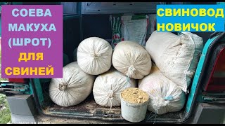 Соевая макуха (жмых) для свиней. Сколько даю? Когда даю? ЦЕНА! Откорм свиней. Свиноводство.