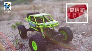 FEO RC TRUCK