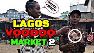 Lagos VOODOO Market-where you can find the use of animals for traditional treatments and VOODOO.