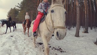 Семейная прогулка на лошадях