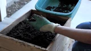 Harvesting Worm Castings: Cedar Worm Bin Vertical Migration