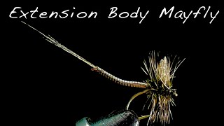 Extension Body Mayfly