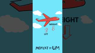 How do planes fly? | Moment of Um